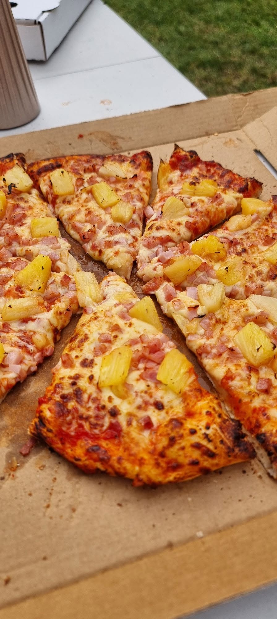 Hawaiian pizza slices